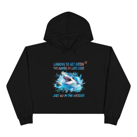 Crop Hoodie