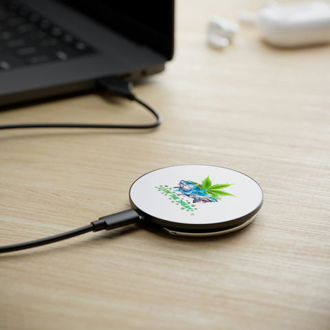 Magnetic Induction Charger